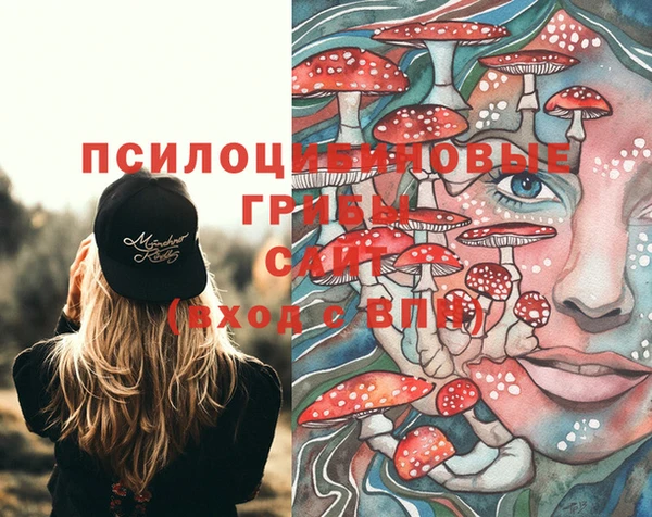 твердый Алексеевка