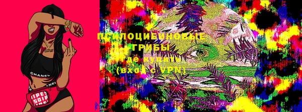 твердый Алексеевка