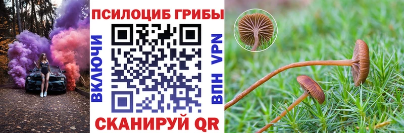 Псилоцибиновые грибы прущие грибы  blacksprut tor  Карабулак 